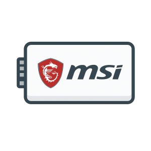 MSI